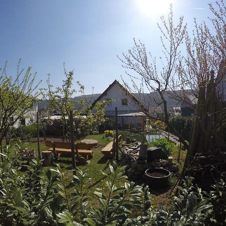 Moselie Ferienwohnung Kinheim Mosel ภายนอก รูปภาพ