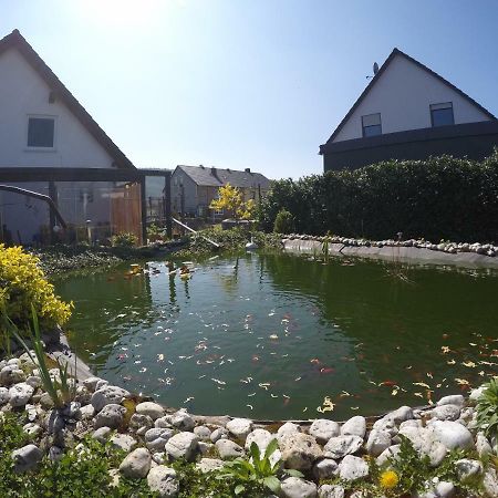 Moselie Ferienwohnung Kinheim Mosel ภายนอก รูปภาพ