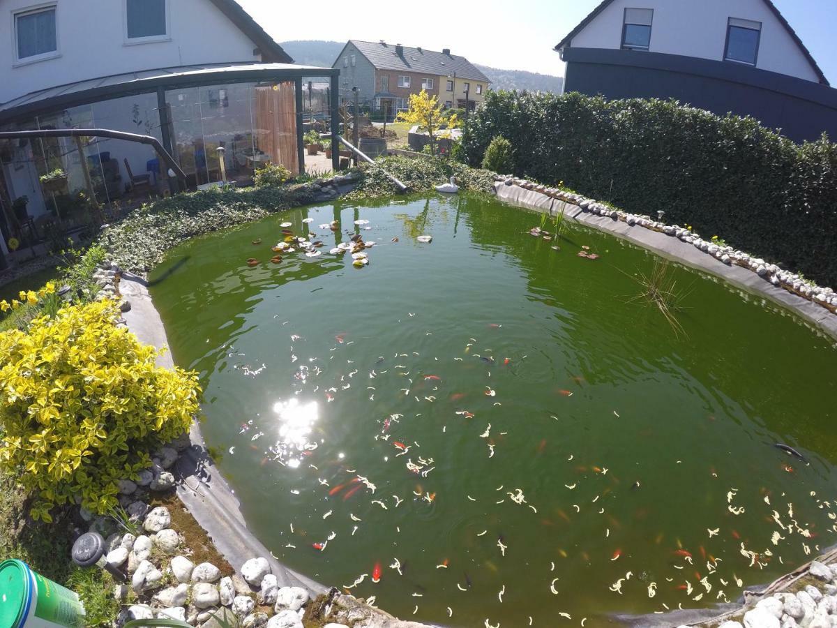 Moselie Ferienwohnung Kinheim Mosel ภายนอก รูปภาพ